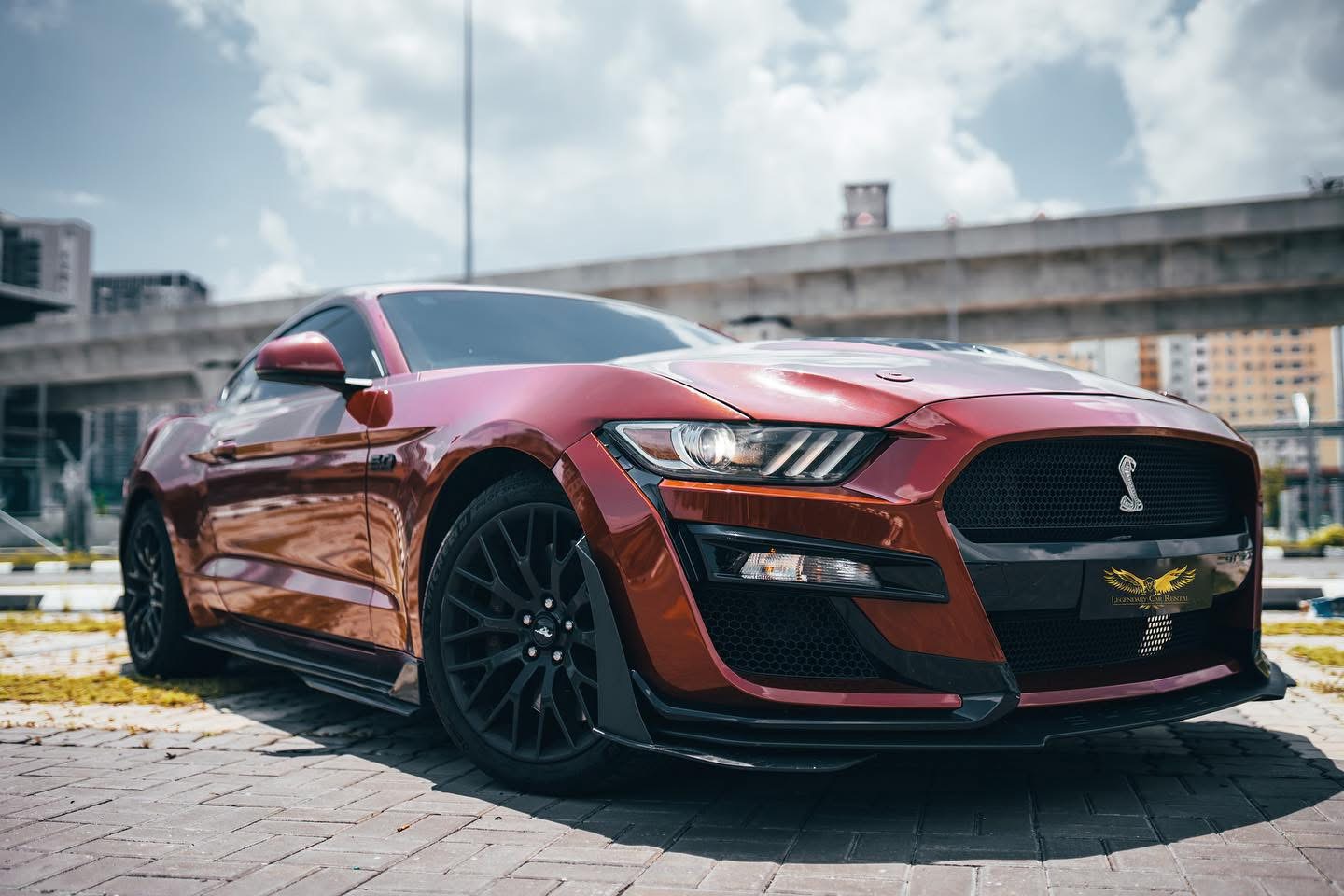 福特 Mustang GT(Shelby 风格)