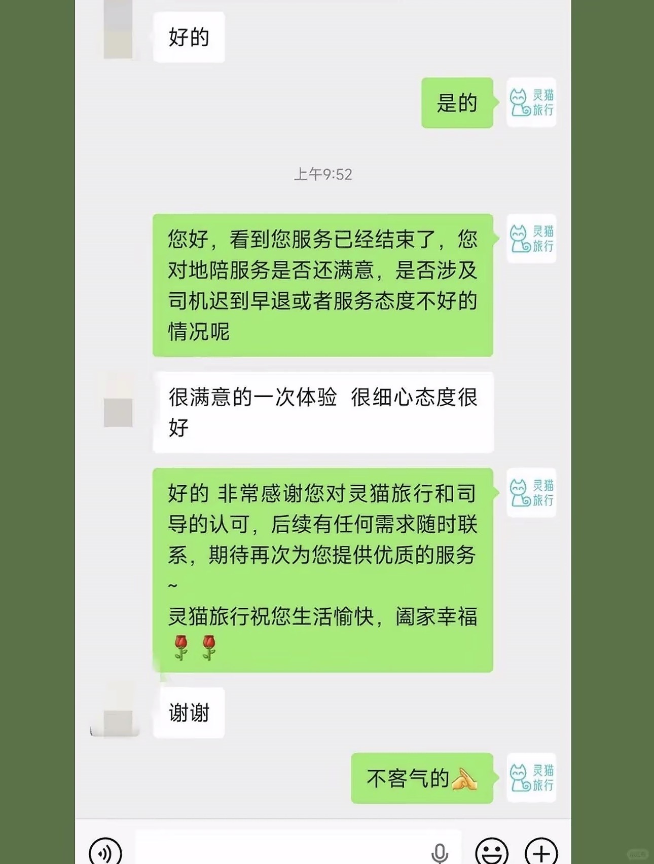 WhatsApp screenshot — 灵猫旅行 🇨🇳